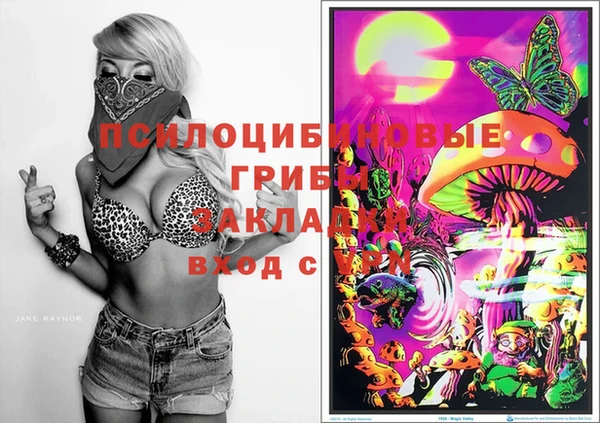 марки lsd Алексин